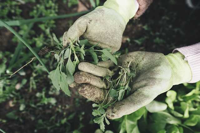 Training image