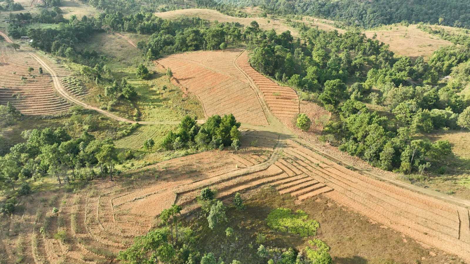 Land preparation for Aromatic Crop